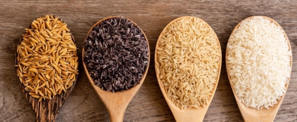 Le diverse varietà di riso italiano: il segreto di un perfetto risotto